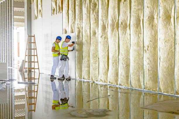 Best Insulation for New Construction  in Tower City, PA